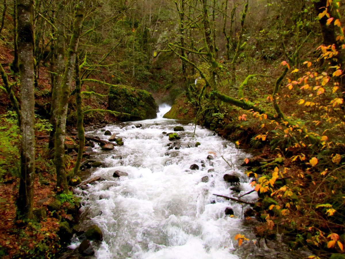 Bridal Veil Falls gorge